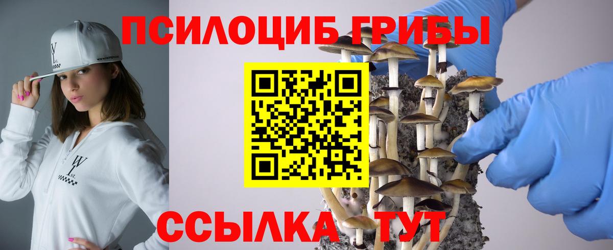 Галлюциногенные грибы Psilocybe Ликино-Дулёво